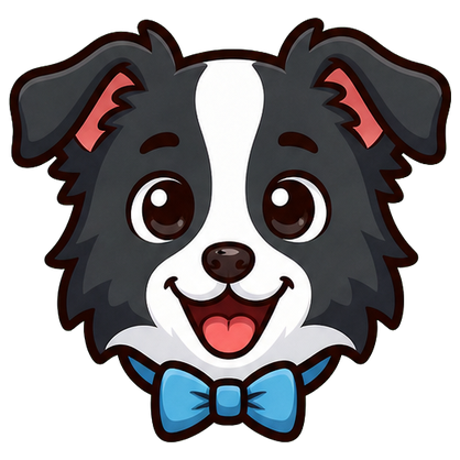 보더콜리